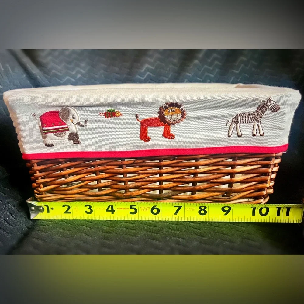 Cost Plus World Market charming wicker